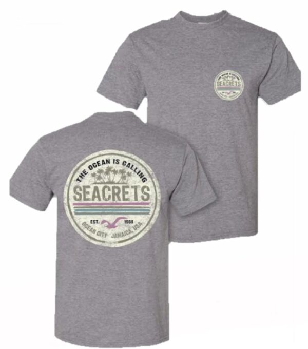 a grey t - shirt with the words seacrets on it
