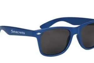 a pair of sunglasses with a blue frame
